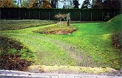 PAVAJ ECOLOGIC